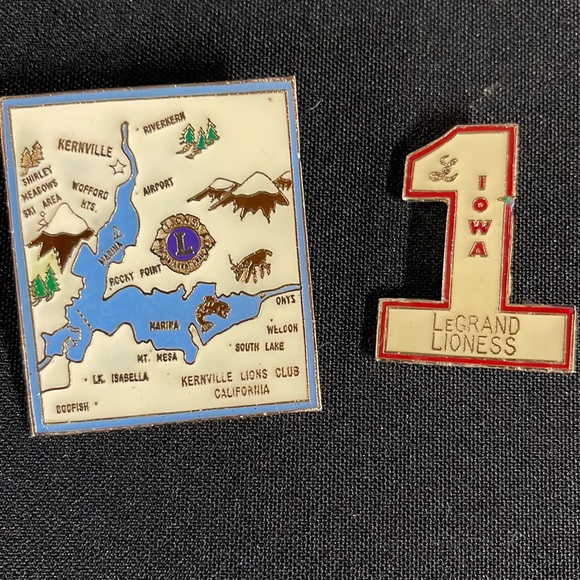 Lions & Lioness Club Lot of 13 Lapel Pins - Picture 3 of 10